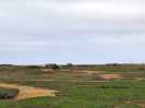 Walk over the salt marsh