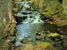 Beautiful walks