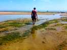 Pett level beach