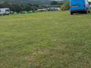 Perfect pitch