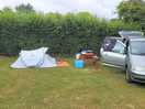 Grasplaats met ehu