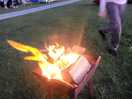 Fire pit