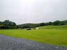 Camping field