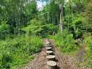 Forest school
