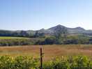 From the edge of the field