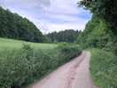 Local walk