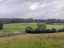 Horse fields viewed from the tent