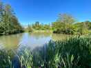 Lakes