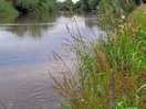 River 7