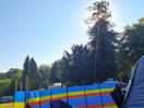 Trees surrounding the whole campsite