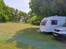The field is lovely .. we camped under a tree.