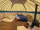Inside buzzard yurt