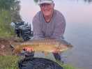 12lbs