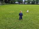 Not busy at all. had the choice of the field