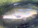 Caught plenty of fish