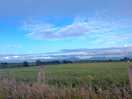 Beautiful view