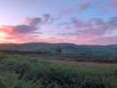 Evening view
