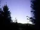 Night