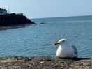 New quay