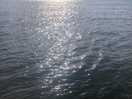 Mare