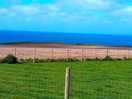 View from our campervan