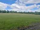 Lovely meadow