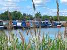 View of the marina