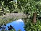 Peaceful