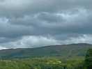 The site