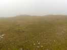 Pano top