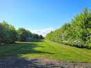 Site