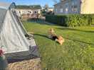 First time away with our dog. she loved it! really dog friendly with dog wash.