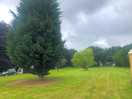 Site
