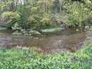 The river