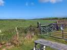 Handy to have a picnic bench. not all pitches have them.