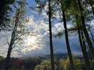Photo of the view from our tent on the camping field
