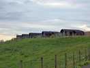 Lodges