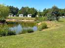 Lovely lake