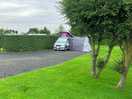 Lovely trees and hedging