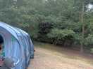 Position off tent and how close to the woods you are