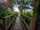Sw coastal path