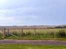Edge of the field - our view