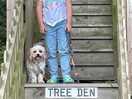 Granddaughter at the tree house