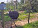Farm