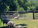 Our neighbours