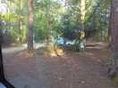 I was in a small glade. peaceful one can describe it. my cats liked it.
