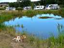 You can even go fishing in the pond