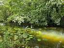 Canal