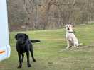 Betsy and bailey