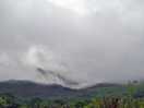 View from the site